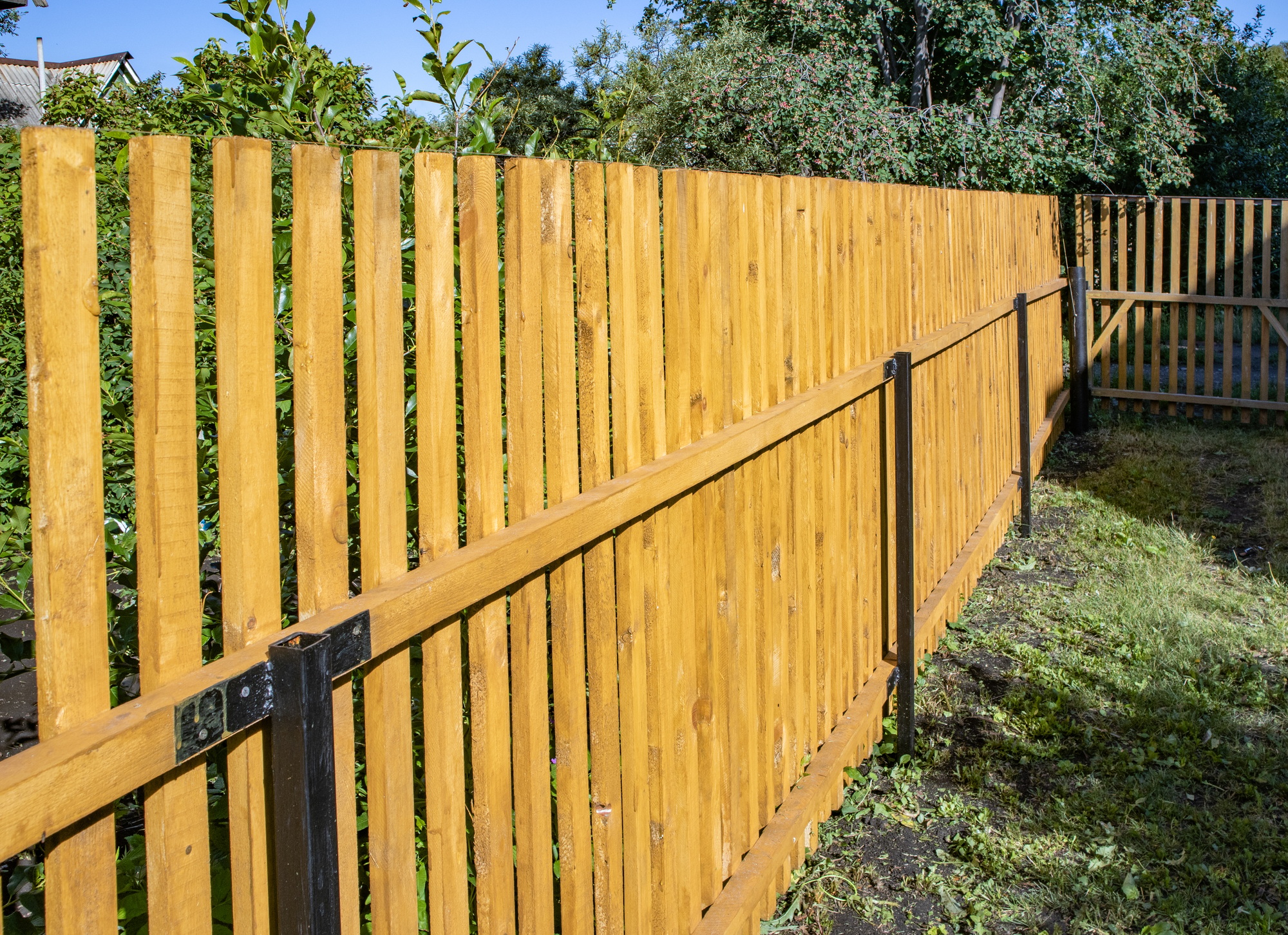 Close-up of a new wooden picket fence in the backyard of a country house, a sunny summer day